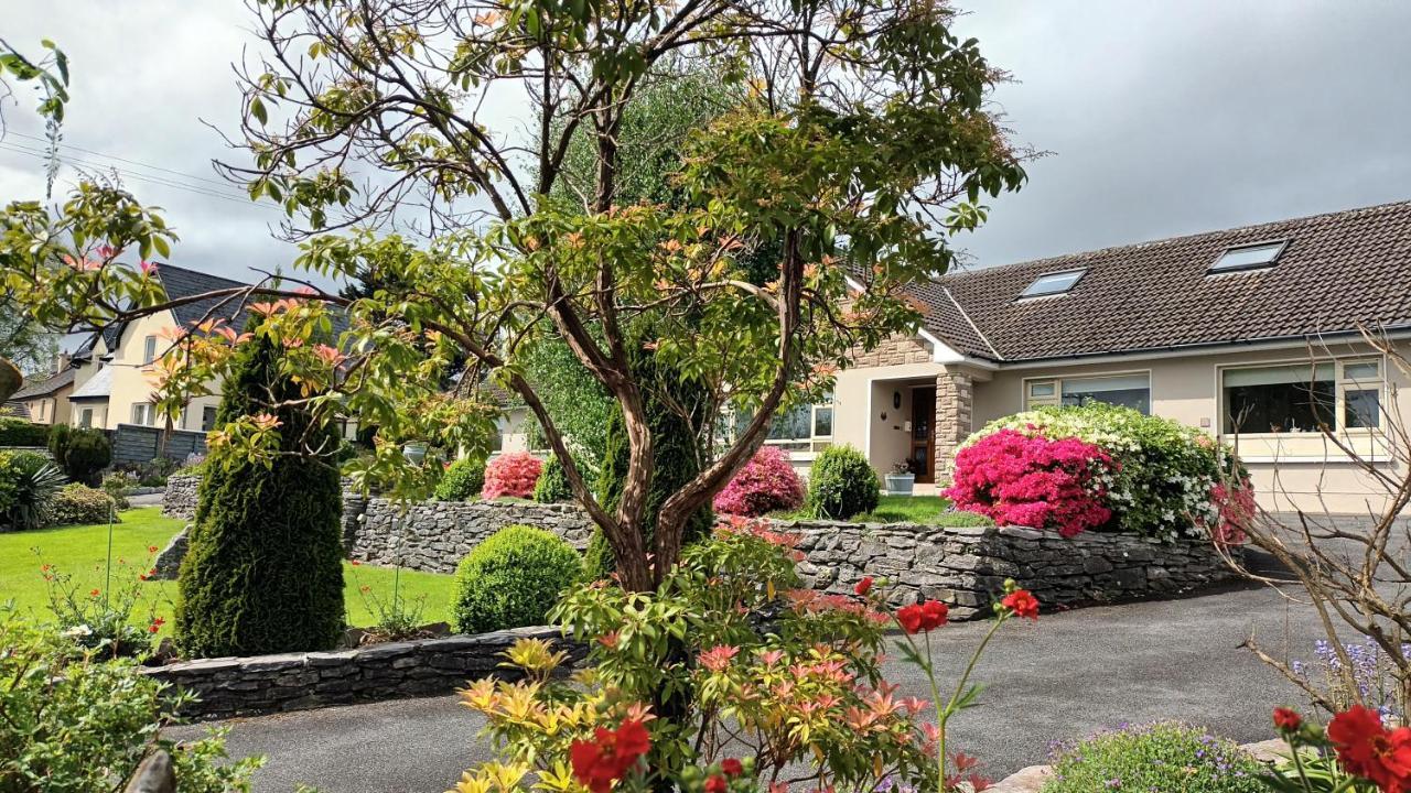 Laburnum B&B Kenmare Zewnętrze zdjęcie