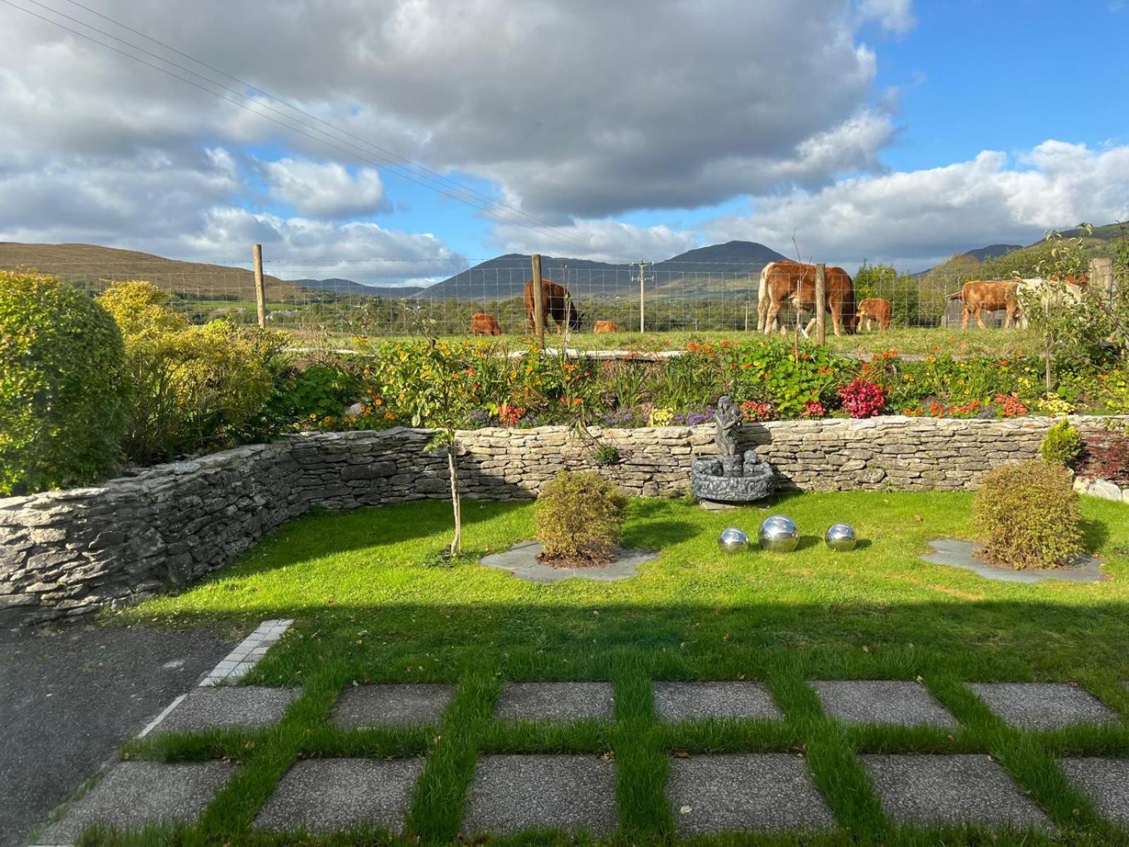 Laburnum B&B Kenmare Zewnętrze zdjęcie